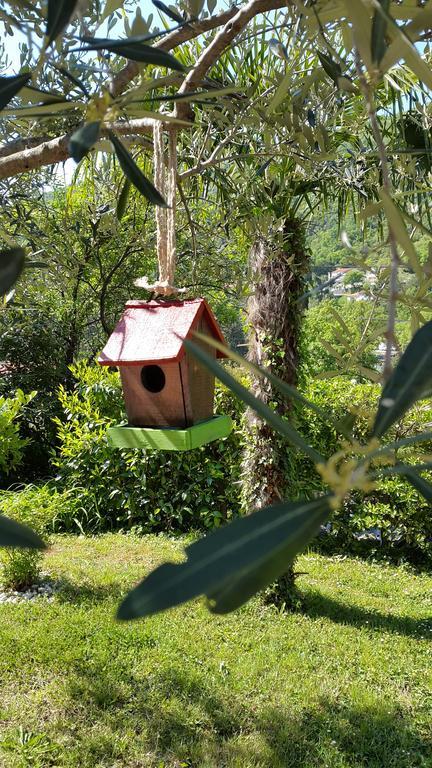 Apartments & Rooms Mikleus Apartment Moscenicka Draga