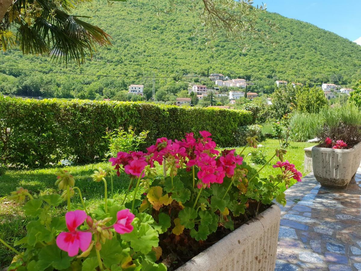 Apartment Apartments & Rooms Mikleus Moscenicka Draga