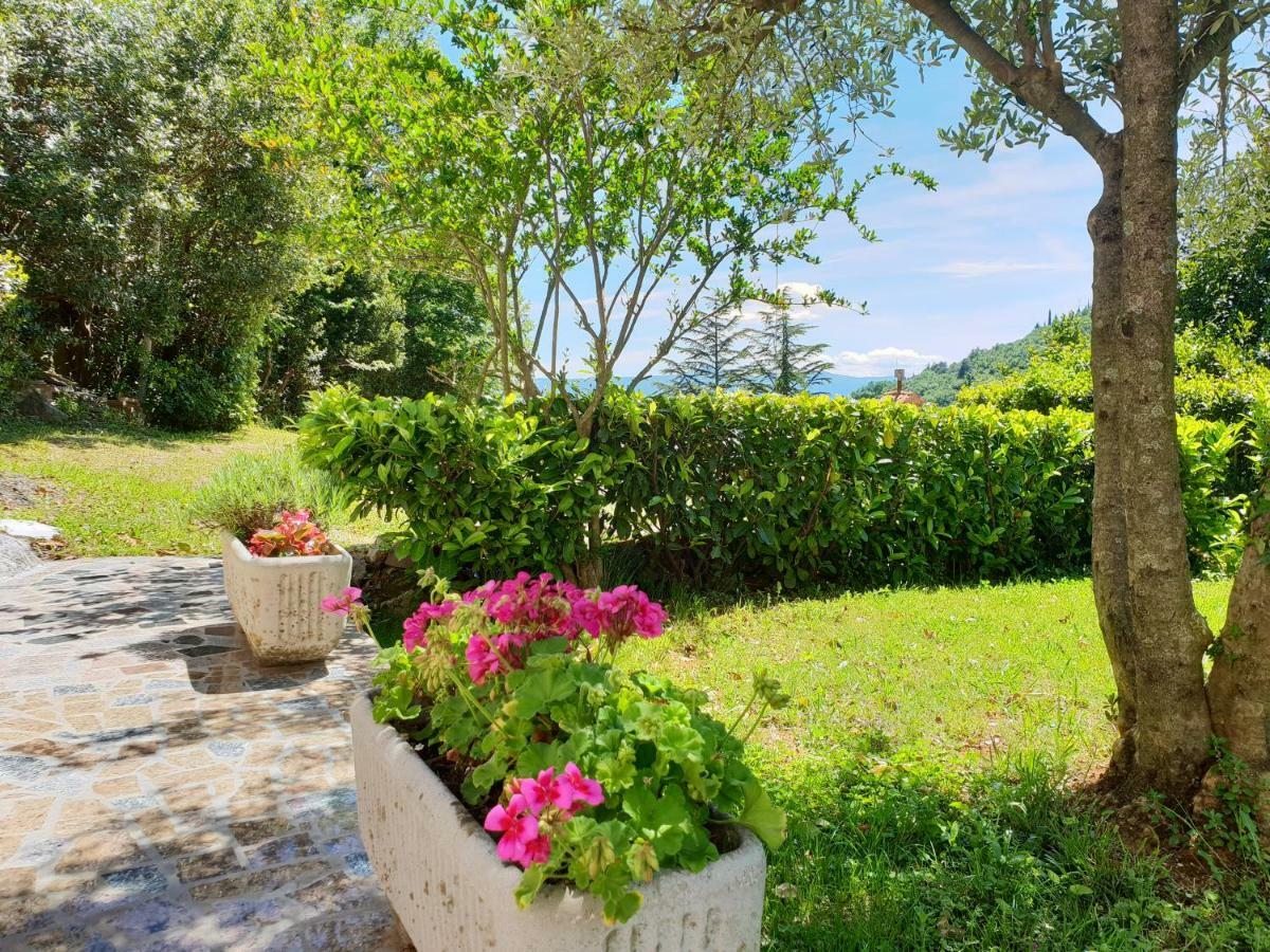Apartment Apartments & Rooms Mikleus *